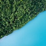 Aerial view of sea and forest