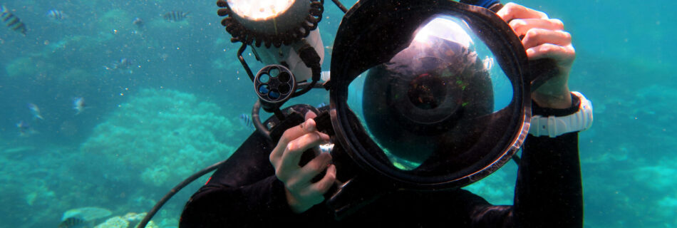 Underwater photographer photographing the great barrier reef