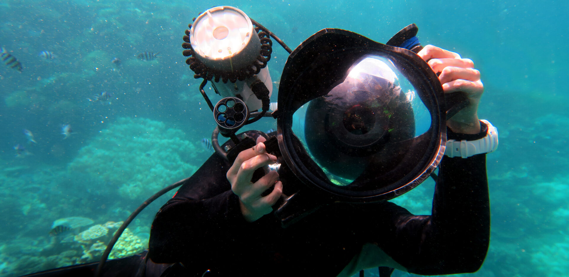 Underwater photographer photographing the great barrier reef