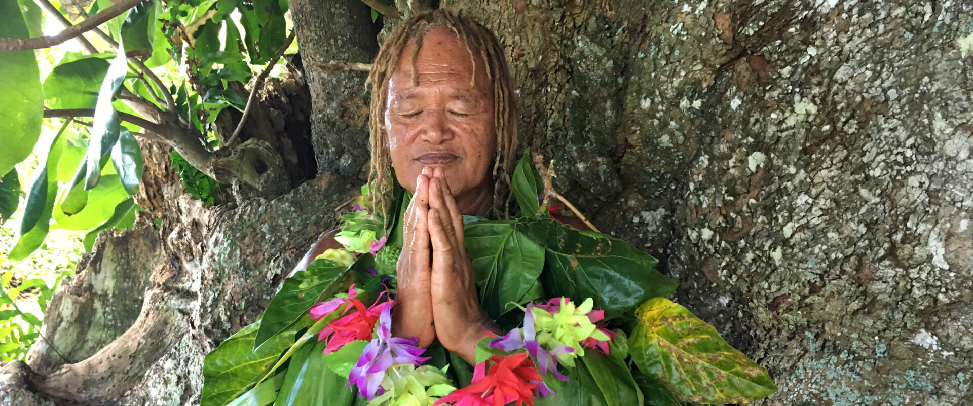 Pacific Islander man meditating and pray under a rain forest tree