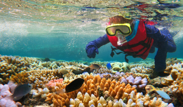 Australian person snorkeling scuba diving with life jacket vest and Lycra protection stinger suit at the Great Barrier Reef in the tropical far north of Queensland, Australia.