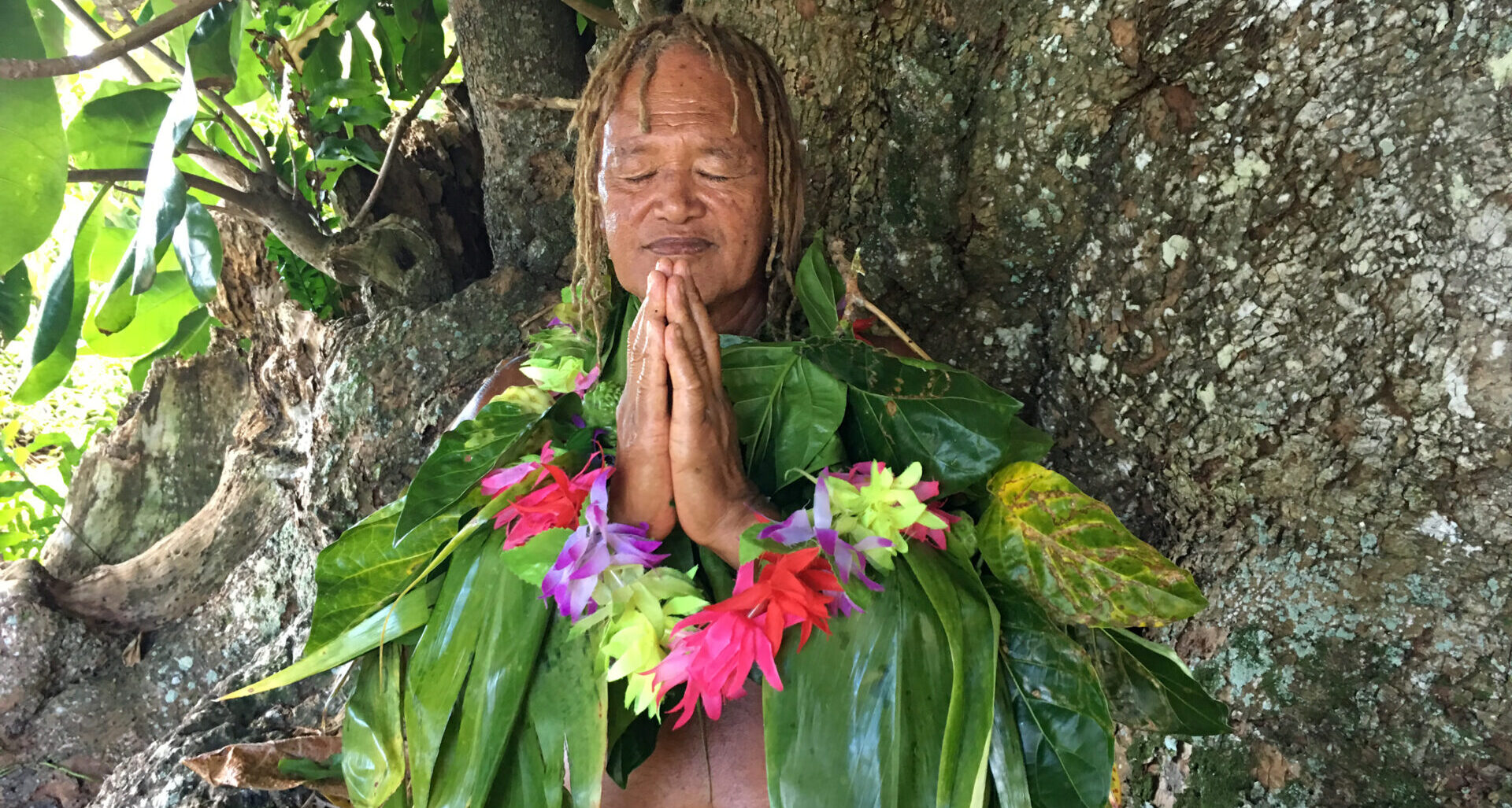 Old aged Pacific Islander man praying under a rain forest tree