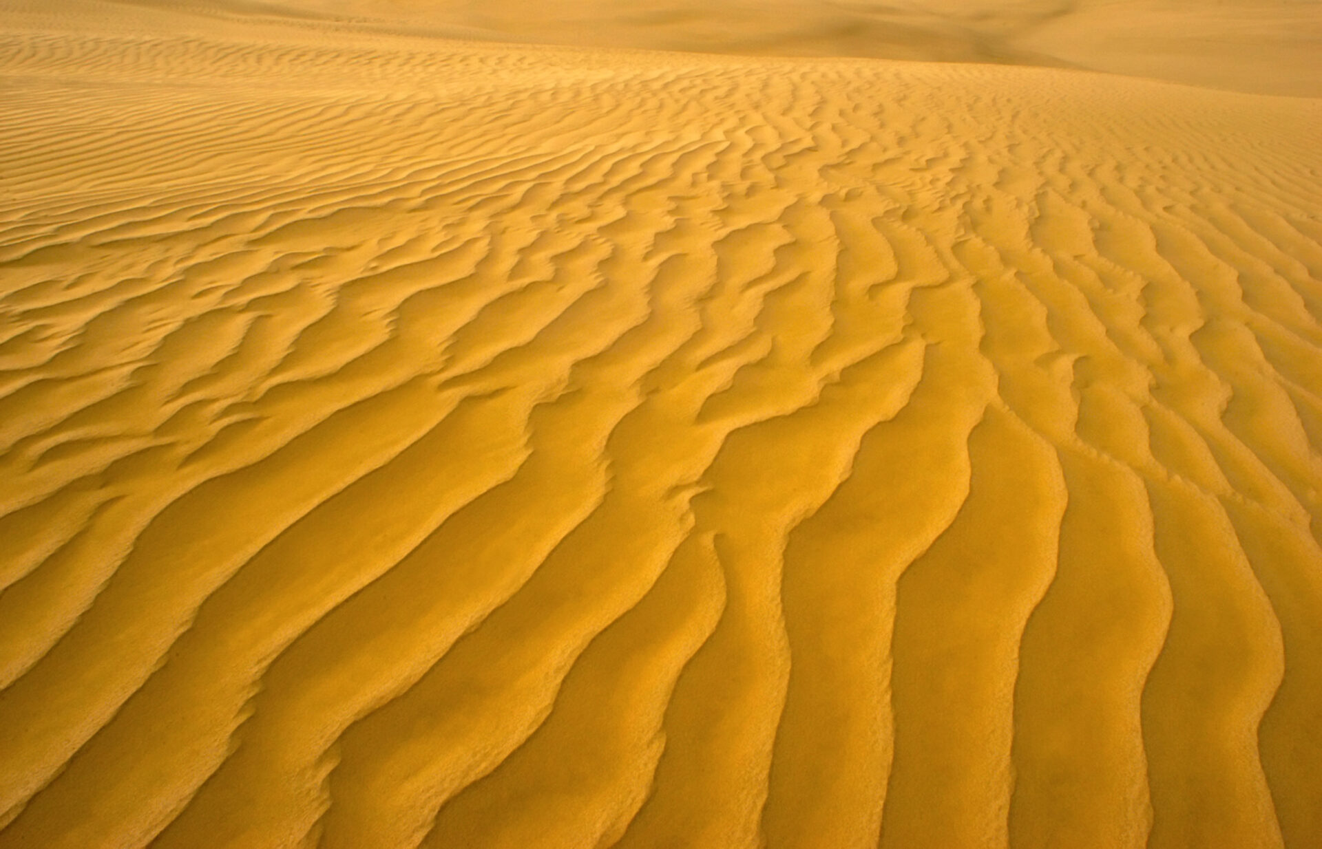 Sand dunes arid landscape