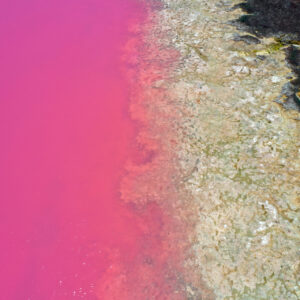 Aerial landscape view of Hutt Lagoon pink lake at Port Gregory in Western Australia.