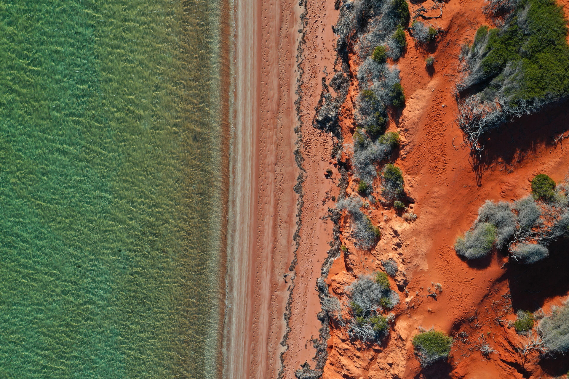 Aerial drone landscape view of coastal sea shore red cliffs and turquoise water environment at Peron Peninsula in Shark Bay, Western Australia.