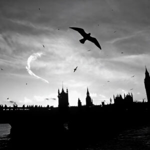 The Blitz above the British Houses of Parliament