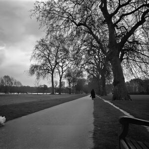 Wait for me small dog runs after his master in Hyde Park London England UK – Fine art photography print for sale. Decoration poster for home or office wall taken by documentary travel photographer Rafael Ben Ari