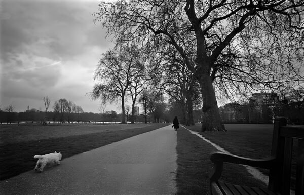 Wait for me small dog runs after his master in Hyde Park London England UK – Fine art photography print for sale. Decoration poster for home or office wall taken by documentary travel photographer Rafael Ben Ari