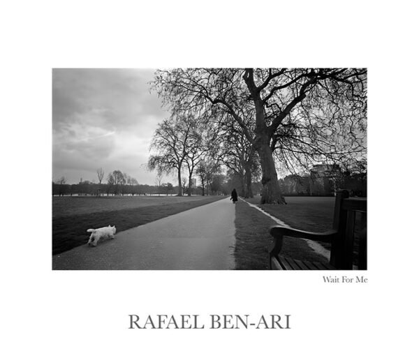 Wait for me small dog runs after his master in Hyde Park London England UK – Fine art photography print for sale. Decoration poster for home or office wall taken by documentary travel photographer Rafael Ben Ari