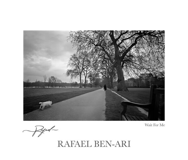 Wait for me small dog runs after his master in Hyde Park London England UK – Fine art photography print for sale. Decoration poster for home or office wall taken by documentary travel photographer Rafael Ben Ari