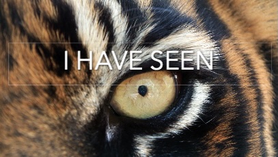 A showreel showcasing documentary travel photographer and photojournalist Rafael Ben Ari life photography work