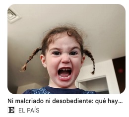 El País Spanish Newspaper Rafael Ben Ari